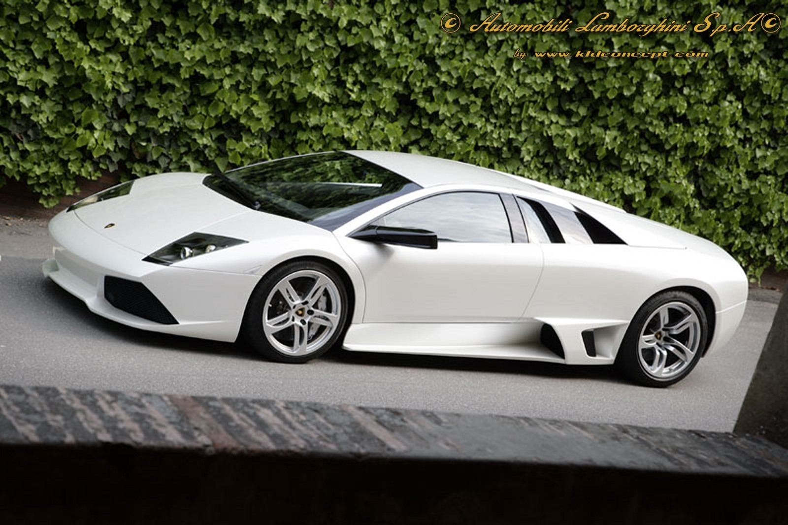 murlamborghini_murcielago_lp640_33195.jpg